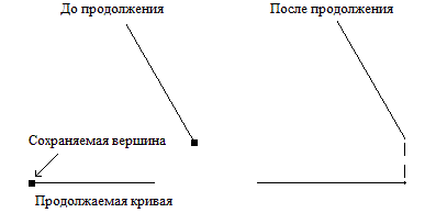 trim_to_vertex2.gif